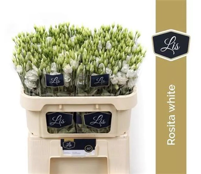 Eust G White